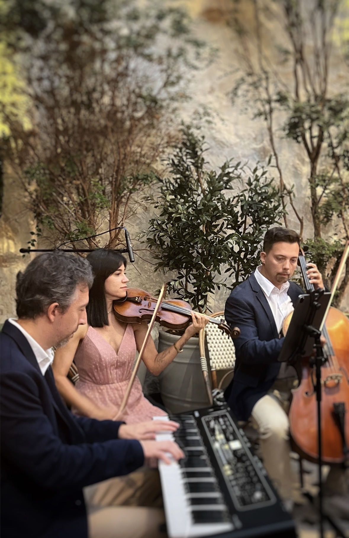 Trio de cordas e piano se apresentando em cerimônia